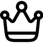 group of people taking photos